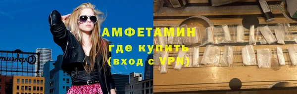 амф Снежногорск
