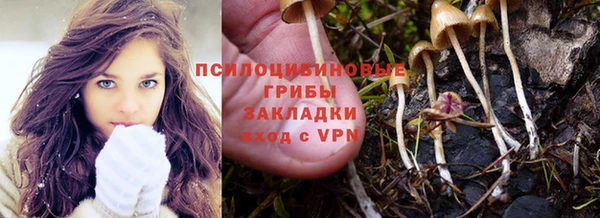 a pvp Арсеньев