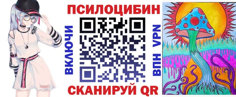 цена наркотик  Нюрба  Галлюциногенные грибы Psilocybe 