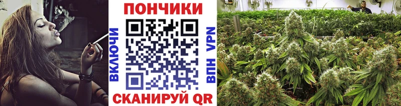 Бошки марихуана планчик  Нюрба 